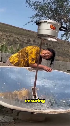 The Parabolic Solar Cooker