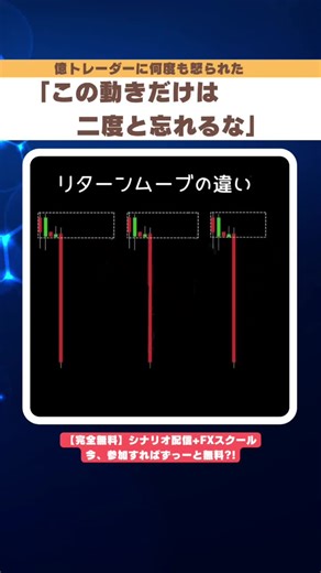 FXトレーダー必見！初心者向けチェックポイント