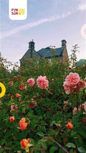 The Timeless Charm of England’s Countryside 🇬🇧🍃 #funandsun