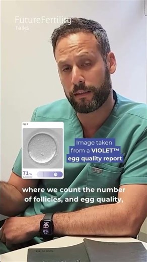 Doctor Explains: What Is Egg Quality?