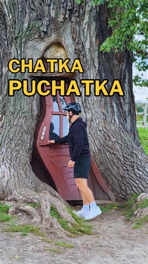 Topola Tekla w Chudowie: Wyjątkowe Drzewo Śląska