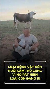 Nhìn mặt nó cứ ngơ ngơ như đứa bạn thân của bạn ấy