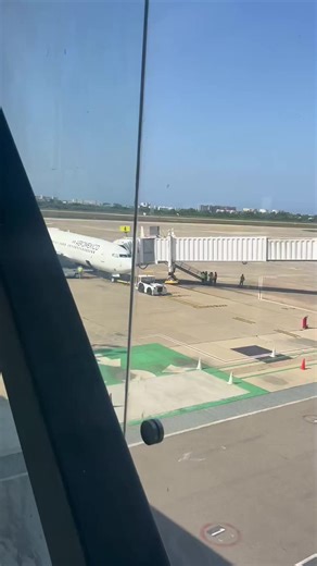 Conociendo a mi DUA del Free Fire: La Cara de Muay