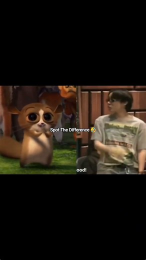 Same Same But Different 🤣🤣