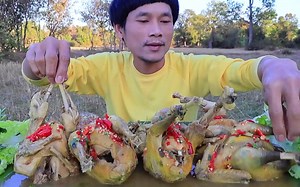 1.4更新|兄弟姐妹们，家乡的美味鸡肉。MUKBANG EATING SHOW【泰国Ko Isaan Phadaek】