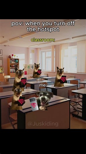 when you turn off your hotspot... #meme #memecat #funny #shorts #fyp #viral #memes