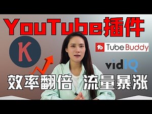 所有内容创业者都要掌握的YouTube必备插件。帮你轻松掌握热点，下载字幕，总结内容，等等等等。让内容创作效率翻倍！