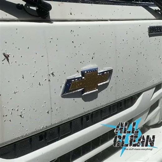 All Clean - Goodbye Bug Splatters! 💥