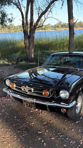 Vintage 1965 Mustang Convertible: A Classic Beauty