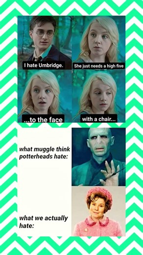 What Muggles Think We Hate vs What Potterheads Actually Hate 😂 #shorts #memes #funny #shortsfeed