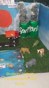 Gr 10 Biology students' projects: Dioramas on Nutrient Cycles