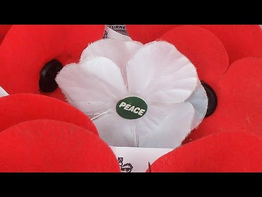 What does a white, purple or blue poppy mean? Different colours explained