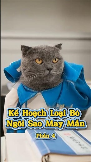 P4 Kế Hoạch Loại Bỏ Ngôi Sao May Mắn ❌💯 #Shorts #ThuCung #ChoMeoDrama #meouo6868 #tiktok #douyin