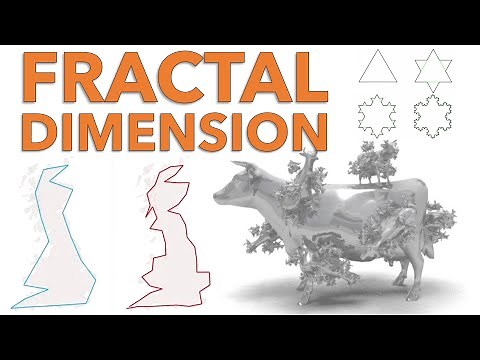 Fractal Dimension - Box-Counting & Correlation Dimension