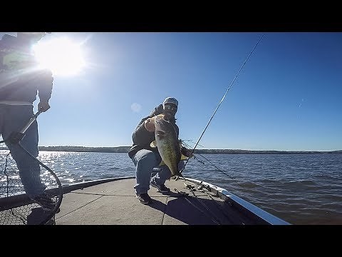 Lake Seminole | Highlights