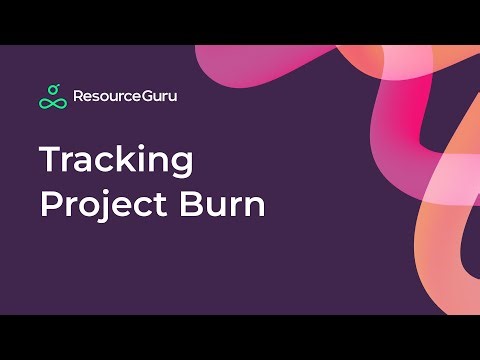 Adding rates, budgets and tracking project burn