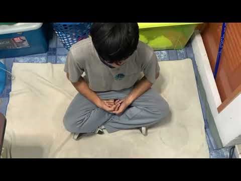 PE: Performance Task @Coc