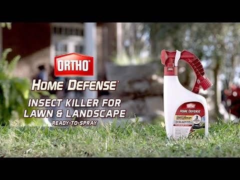 How to Kill Insects in Your Lawn and Landscape with Ortho® Home Defense Ready-To-Spray