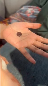 #henna #mehndi #mehndidesign #viralshort #mehandi #trendingshorts #trendingreels #hennadesign