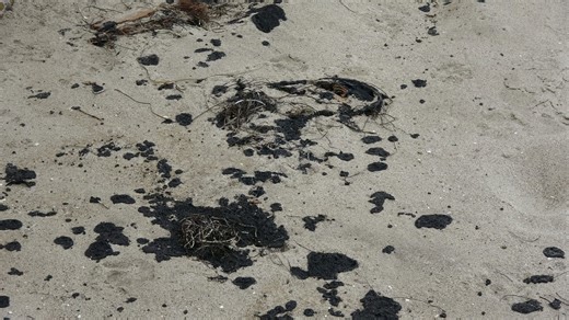 Tar blobs come up on some Southern Santa Barbara County beaches from unknown source