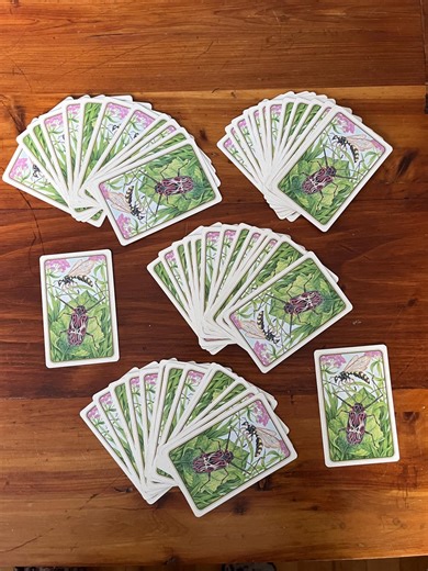 Deck of Cards with Insects. Playing Cards with Bugs , circa 2000.