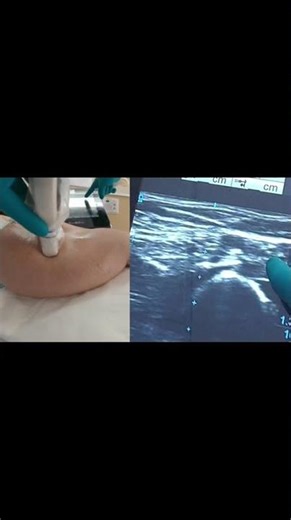 USM - identifiers.mp4