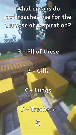 What organs do cockroaches use for the purpose of respiration?