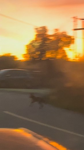 Maria João on Reels