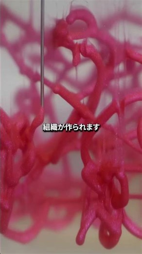 空中に浮かぶ臓器