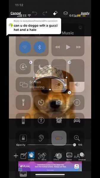 Doggo profile pictures ask up. on TikTok