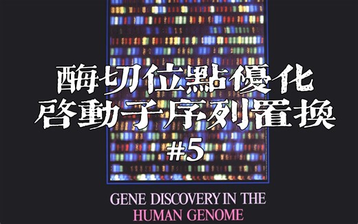 【分子实验实例#5】酶切位点选择要求、质粒抗性基因置换