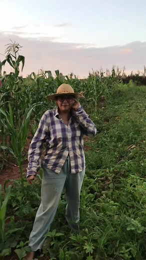 Mboriahu ryguatã: Celebrating Paraguayan Heritage