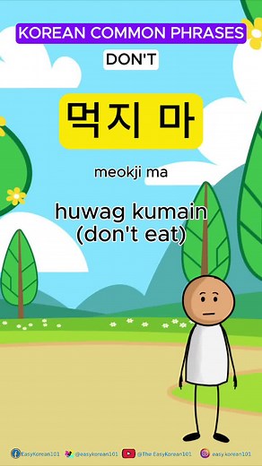 Common Korean Phrases and Vocabulary for Beginners