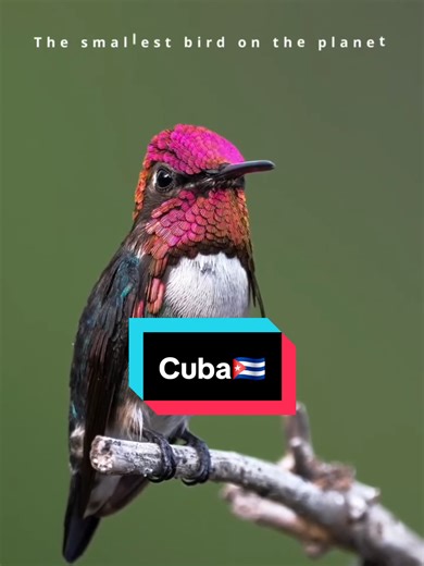 Cuba Isla Bella!!!! #cuba
