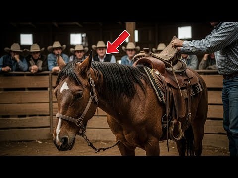The Lame Horse Entered the Silent Auction… What They Found Under the Saddle Brought Tears!