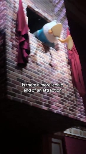 Donald what the Duck #disney #disneyland #donaldduck | donald duck