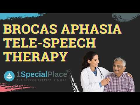 Broca’s Aphasia Therapy | Tele Speech Therapy Session | 1SpecialPlace
