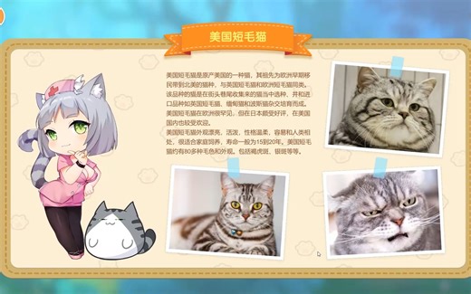 【褶】【完结】《猫咪小姐2（Miss Neko 2）》全3星通关实况流程解说-能玩还能学知识