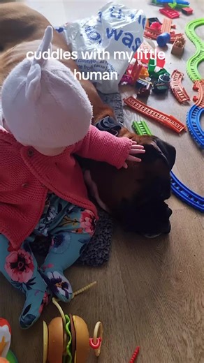 #dog #boxer #love #cuddles #fyp