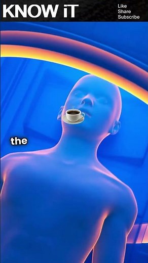 10 Amazing Facts About Volvulus You Need to Know | KNOW iT