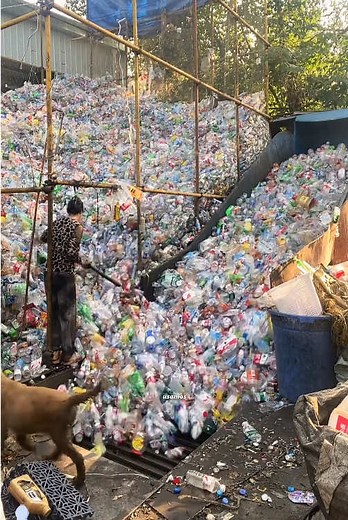 Incredible Facts About Plastic Waste Recycling