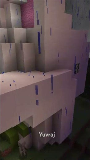 #shorts Minecraft robotic cat 🐈🚀🚀💯