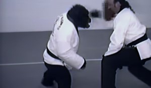 Does Joe Rogan Know About This? The Chimp That Knows Karate