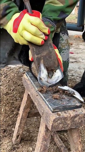 ASMR：Too laborious! The panting old man helps the donkey to care for the hoo#Shorts