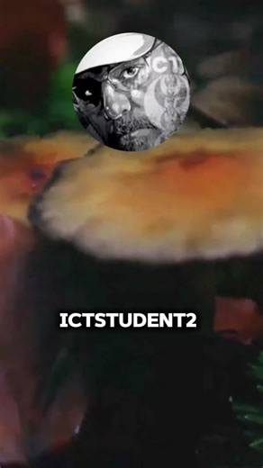 the raison why ict is using demo #ICTSTUDENT2 #discipline #yourself #fyp #viral #fypシ #afriquedusud🇿🇦 #algerie🇩🇿 #trading #psychology #trading #management #trader #tradingstrategy #fypシ #fyppppppppppppppppppppppp #CapCut