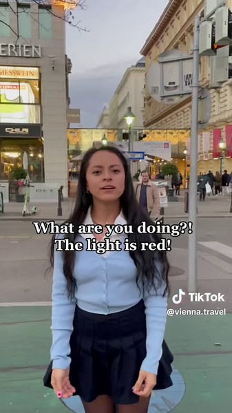 Mo's Culture Shocks in Vienna: An American's Experience