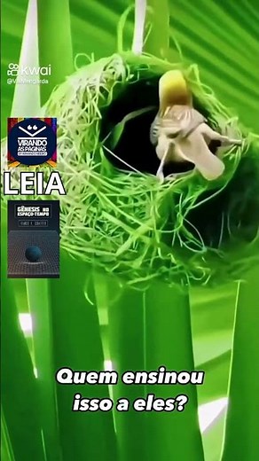 LEIA Gênesis No Espaço tempo por Francis Shaeffer