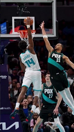 top plays week got us hype 😈 #charlottehornets #nba #topplays