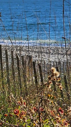 Ray Coleman on Reels