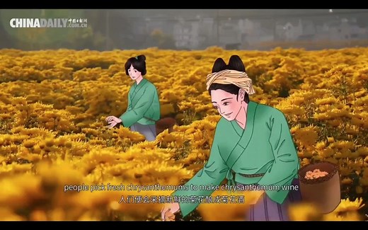 11_The Double Ninth Festival_高清 1080P